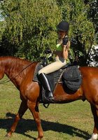 В конюшне поимел двух наездниц 21 фотография В конюшне поимел двух наездниц 21 фотография