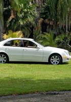 Мохнатая промежность 13 фотография Мохнатая промежность 13 фотография